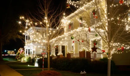 christmast light service